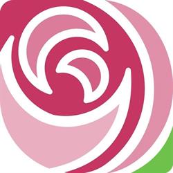 Steele Rose & Co Limited