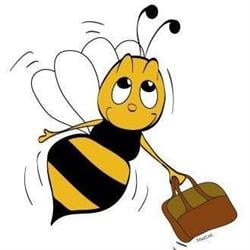 Bees Taxis