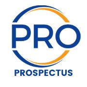 Prospectus i t Recruitment