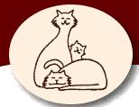 Happy Cats