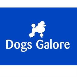 Dogs Galore