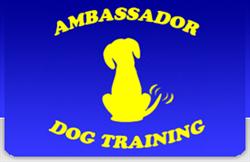Ambassador Dog Training