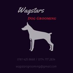 Wagstars dog grooming Cheadle Heath