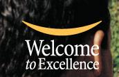 Welcome To Excellence