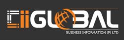 iiGlobal BUSINESS INFORMATION LIMITED