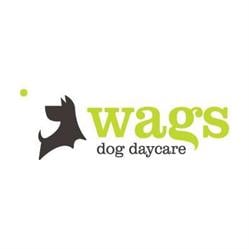 Wags Dog Day Care