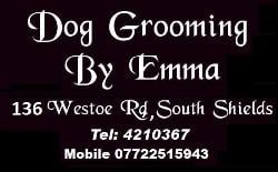 Dog Grooming By Emma