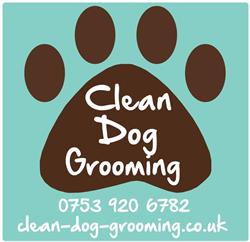Clean Dog Grooming Services