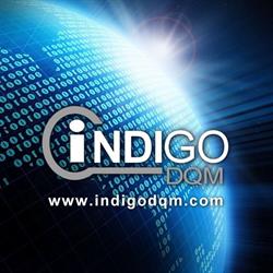 Indigo DQM Data Management and Reporting Systems