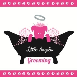 Little Angels Holistic Dog Grooming