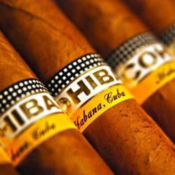 is tobacco farming profitable Tobacco farming: overcoming an understated impediment to comprehensive tobacco control is tobacco farming profitable Tobacco farming: overcoming an understated impediment to comprehensive tobacco control
