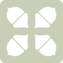 Four Oaks Healthcare
