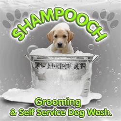 Shampooch Grooming and Self Service Dog Wash