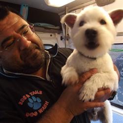 Eds & Tails Mobile Dog Wash