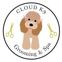 Cloud K9