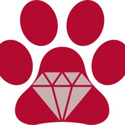 Littlegems Canine Care & Grooming