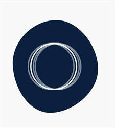 Kloned Virtual Assistants