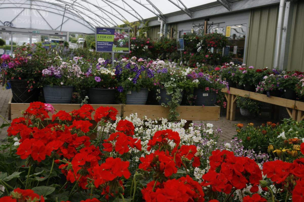 Hillier Garden Centre Cheddar