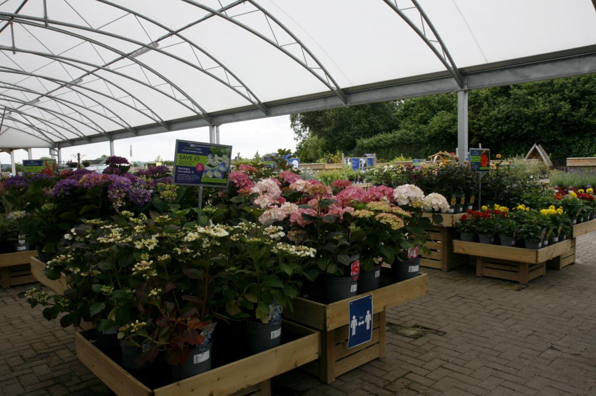 Hillier Garden Centre Cheddar