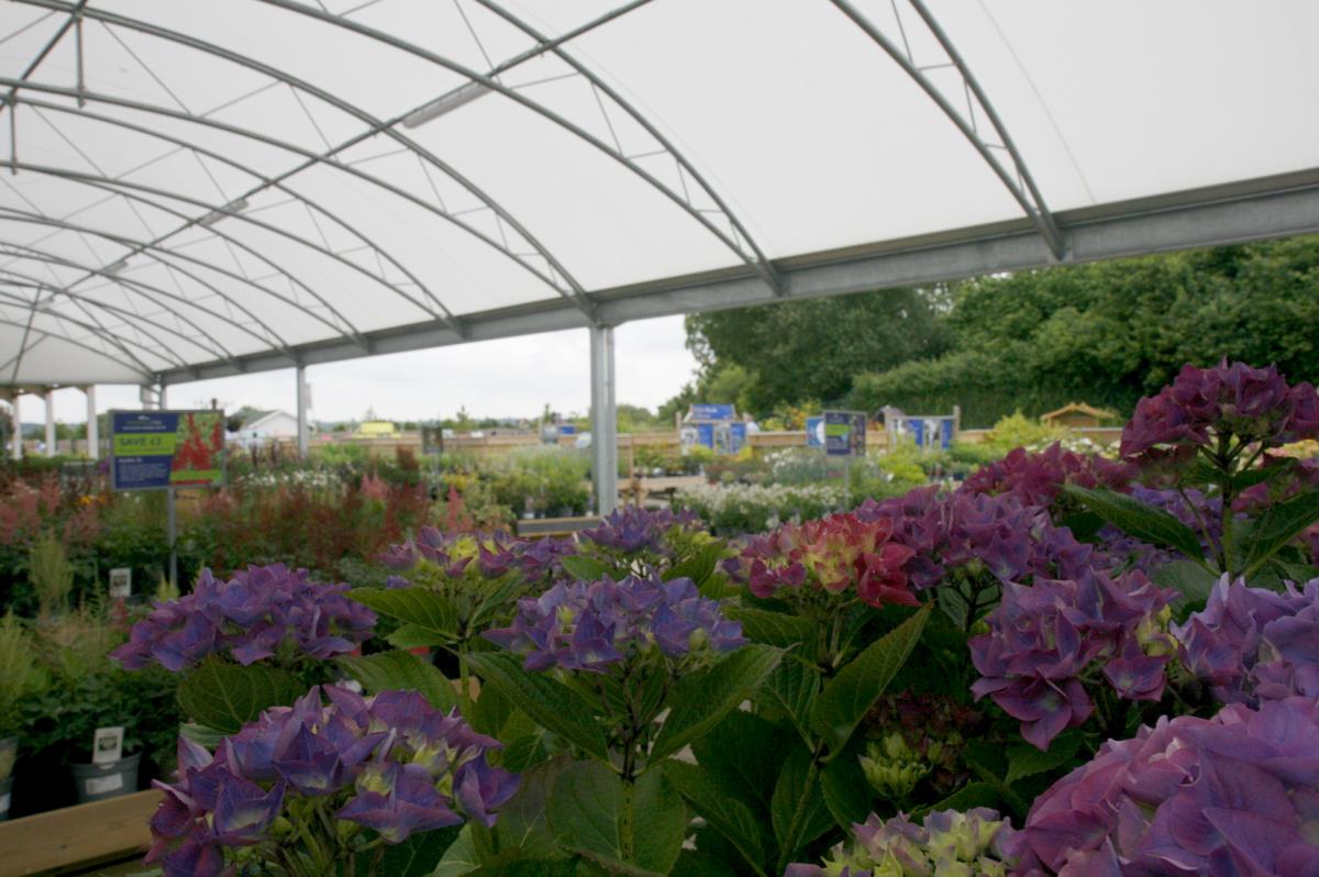 Hillier Garden Centre Cheddar