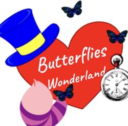 Butterflies Wonderland