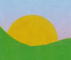 Rising Sun Nurseries