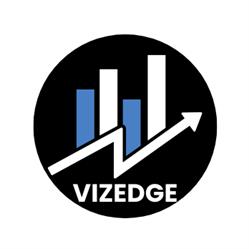 VizEdge - Data Consultancy
